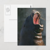 Kaaislijm Briefkaart (Voorkant / Achterkant)