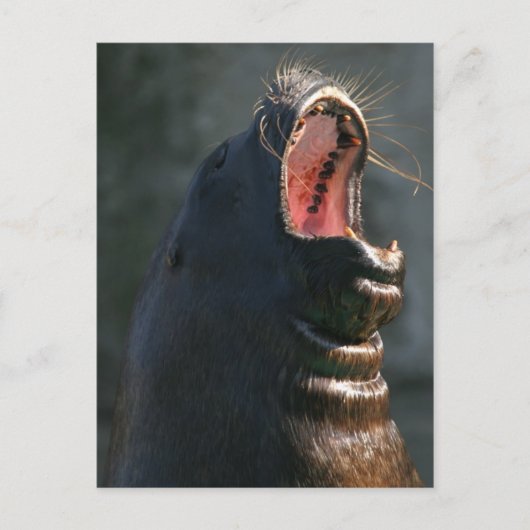 Kaaislijm Briefkaart (Voorkant)