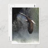 KAAL ADELAAR & WATER HERFST BRIEFKAARTEN (Voorkant / Achterkant)