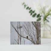 Kaal Briefkaart Eagle en Blackhawk (Staand voorkant)