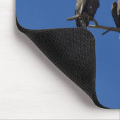 Kaal Eagles Muismat (Hoek)