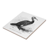 Kaalscholver  vogeltrek tegeltje (Zijkant)