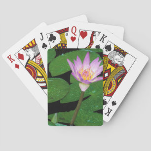 Kaap Blue Water Lily (Nymphaea Capensis) Speelkaarten