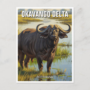 Kaap Buffalo in de Okavango Delta in Botswana Briefkaart