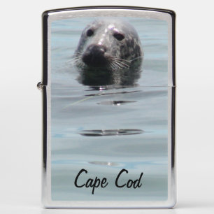 Kaap Kabeljauwzeehond die uit het water naar Zippo