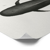 Kaap Pilot Whale Print Marine Biology (Hoek)