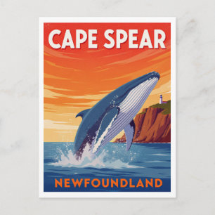 Kaap Spear Newfoundland Springende Walvis Briefkaart