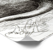 Kaapse Ant-Eater Poster (Hoek)