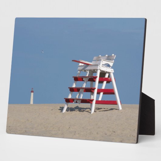 Kaapse beschermstoel fotoplaat (Zijkant)