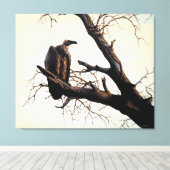 Kaapse gier "Sentinel" Canvas Afdruk (Insitu (Houten vloer))