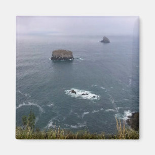 Kaapse kaas, oregonkust magneet