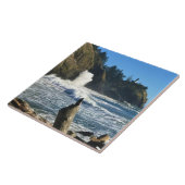 Kaapse vuurtoren, Washington Tegeltje (Zijkant)