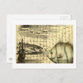 Kaapskabeljauw Briefkaart (Voorkant / Achterkant)