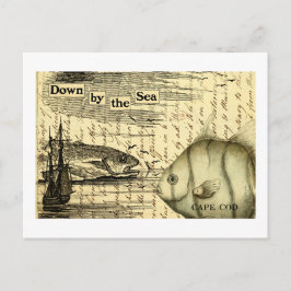 Kaapskabeljauw Briefkaart