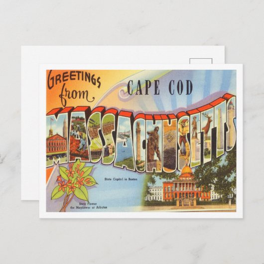 Kaapskabeljauw, Massachusetts Travel Briefkaart (Voorkant / Achterkant)