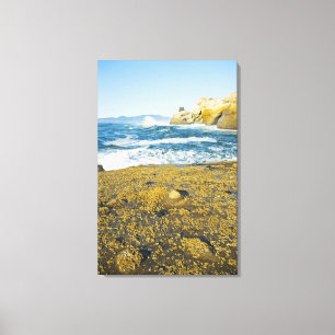 Kaapstad Kiwanda en de Stille Oceaan 2 Canvas Afdruk