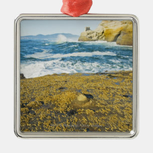 Kaapstad Kiwanda en de Stille Oceaan Metalen Ornament