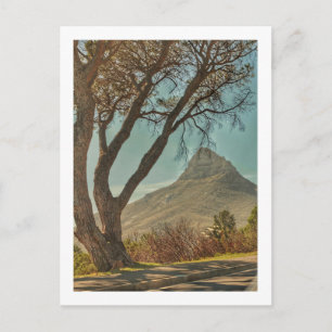 Kaapstad Lion's hoofdlandschap Zuid-Afrika Briefkaart