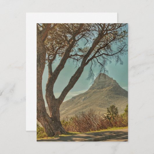 Kaapstad Lion's hoofdlandschap Zuid-Afrika Informatiekaartje (Voorkant / Achterkant)