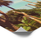 Kaapstad Tafelgebergte Poster van de leeuwenkop (Hoek)