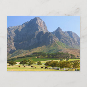 Kaapstad, Westkaap, Zuid-Afrika Briefkaart
