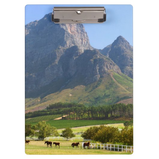 Kaapstad, Westkaap, Zuid-Afrika Klembord (Voorkant)