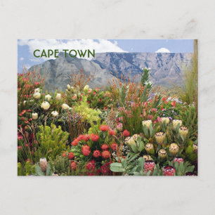 Kaapstad:Zuid-Afrika — bloemdisplay, wildbloemen Briefkaart