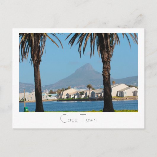 Kaapstad Zuid-Afrika Lion's hoofdpalmbomen Briefkaart (Voorkant)