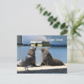 Kaapverdische zegel, waterfront, Zuid-Afrika Briefkaart (Staand voorkant)