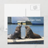 Kaapverdische zegel, waterfront, Zuid-Afrika Briefkaart (Voorkant / Achterkant)