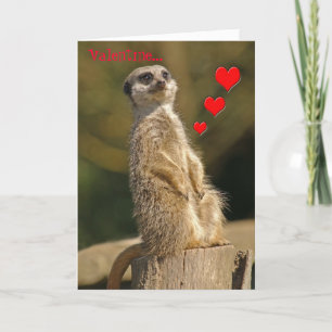 Kaart 006 van Valentijn van Meerkat