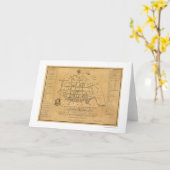 Kaart 1788 van de Straat van Sc van Charleston (Gele Bloem)