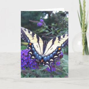 Kaart 3 van de Vlinder van Swallowtail