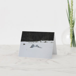 Kaart - adirondack stoelen in sneeuwafwijking