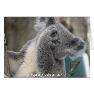 Kaart adopteert een Koala Australia-poot