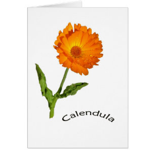 Kaart - blanco - Calendula met label