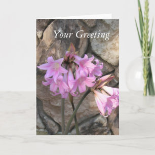 Kaart - blanco - Pink Ladies