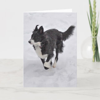 Kaart - Border collie die de Sneeuw doornemen