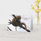 Kaart: Coatimundi #5 Kaart (Gele Bloem)