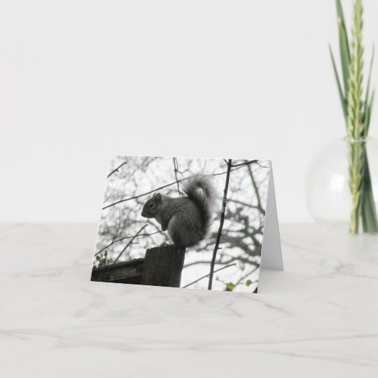 Kaart eekhoorn (Voorkant)