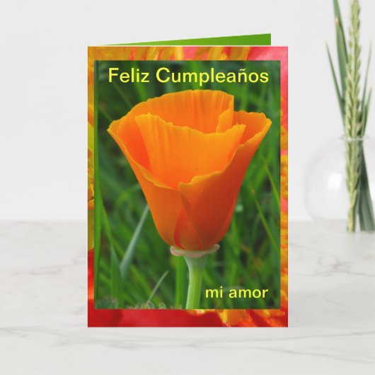 Kaart - Feliz Cumpleaños, mi amor (Voorkant)