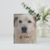 Kaart, Golden Retriver Briefkaart (Staand voorkant)