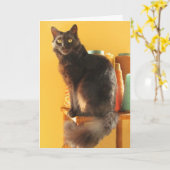 Kaart - groet - Kat met garen (Gele Bloem)