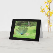 Kaart - Groet - Peacock 2 zijdes (Gele Bloem)