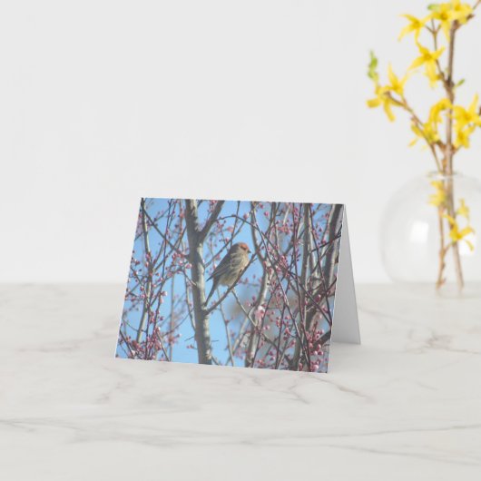 Kaart - Groet - Sparrow in Branches (Gele Bloem)