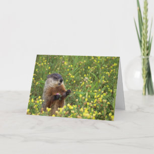 Kaart grondhog