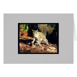 Kaart - Heb je noten?