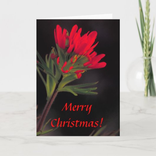 Kaart / Indische penseel / Kerst (Voorkant)