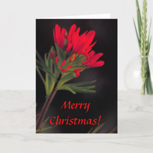 Kaart / Indische penseel / Kerst