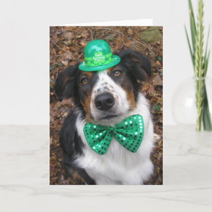kaart "Irish Laddie"